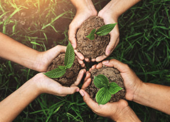 Dia do Meio Ambiente