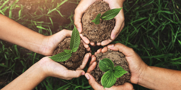 Dia do Meio Ambiente