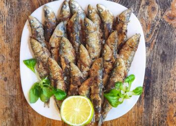 Os benefícios nutritivos da sardinha