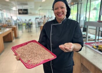 Saúde e bem estar: a importância do ferro no organismo