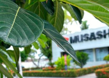 Celebrando o Dia Internacional da Biodiversidade: A Importância da Preservação de Seres Vivos na Terra