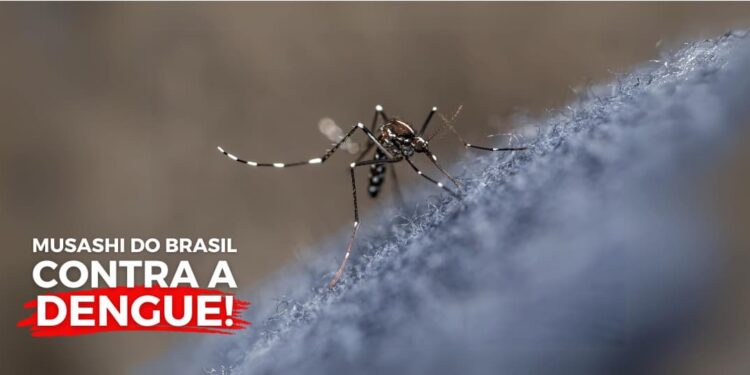 Musashi do Brasil contra a dengue: acabe com esse perigo