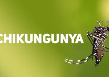 Musashi do Brasil Adota Medidas Contra a Febre Chikungunya