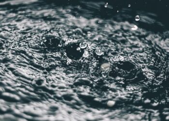 Musashi do Brasil celebra o Dia Mundial da Água