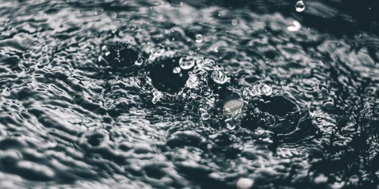 Musashi do Brasil celebra o Dia Mundial da Água