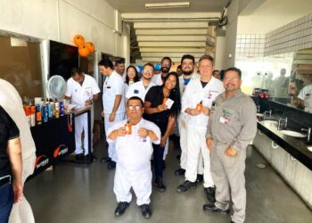 Musashi do Brasil Adota Medidas Preventivas Contra Arboviroses