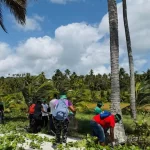 Sustentabilidade em ação