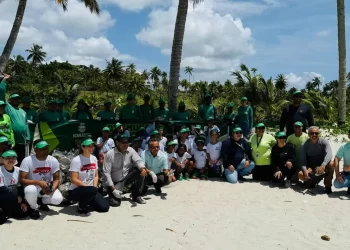 Sustentabilidade em ação