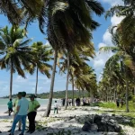 Sustentabilidade em ação