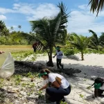 Sustentabilidade em ação